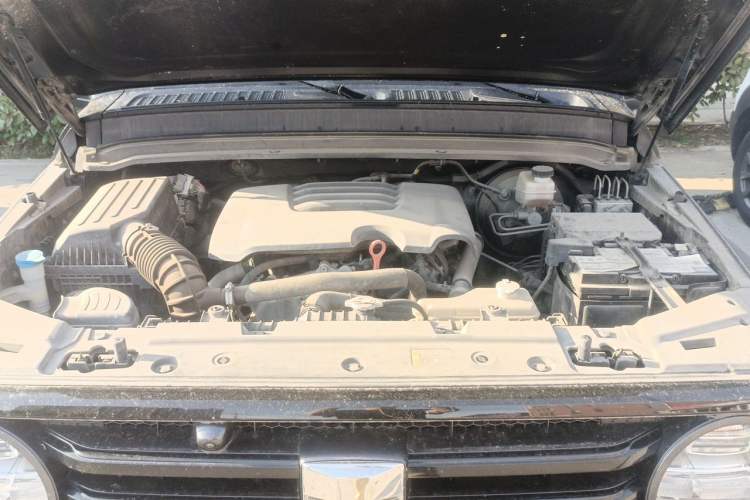 Used Tank 300 2021 Off-Road Edition 2.0T Conqueror Engine Bay