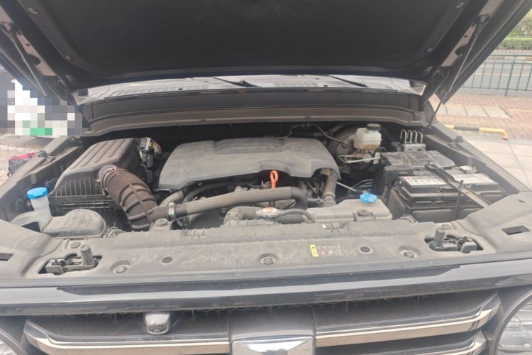 Used Tank 300 2021 City Edition 2.0T My Vision Model Engine Bay