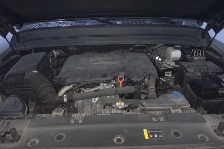 Used Tank 300 2021 Off-Road Edition 2.0T Conqueror Engine Bay