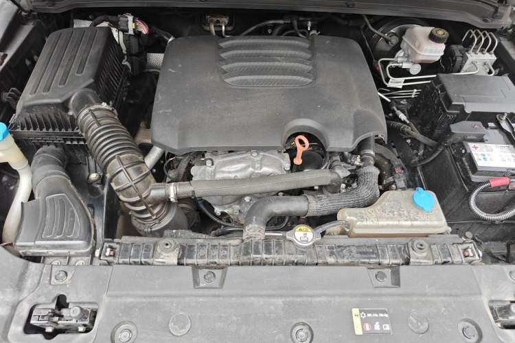 Used Tank 300 2021 Off-Road Edition 2.0T Conqueror Engine Bay