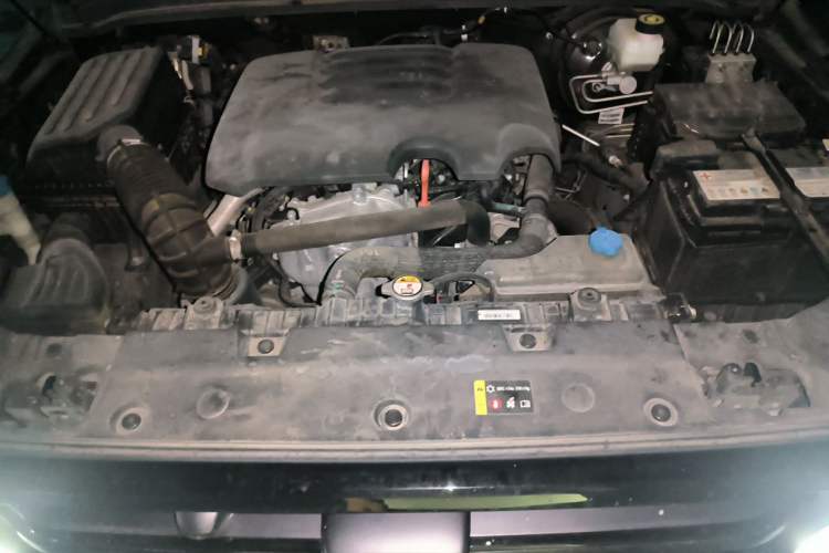 Used Tank 300 2021 Off-Road Edition 2.0T Conqueror Engine Bay