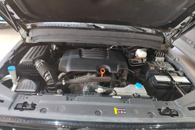 Used Tank 300 2021 Off-Road Edition 2.0T Conqueror Engine Bay