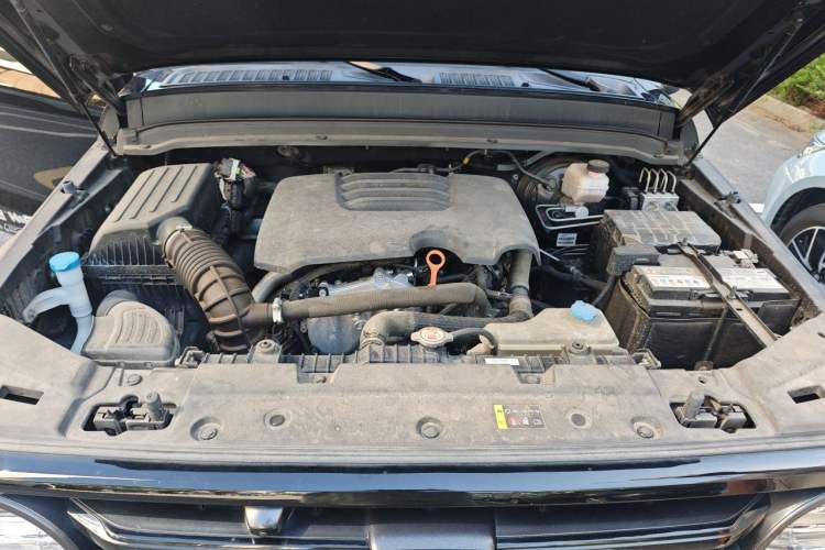 Used Tank 300 2021 Off-Road Edition 2.0T Conqueror Engine Bay