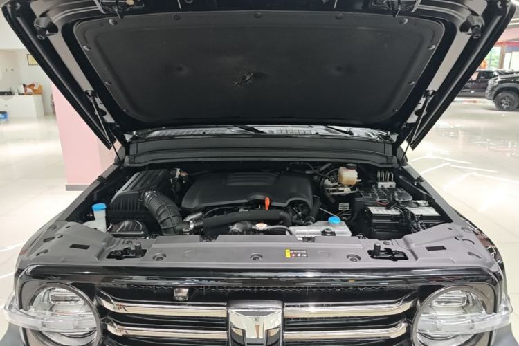 Used Tank 300 2021 City Edition 2.0T My Vision Model Engine Bay