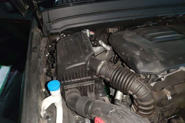 Used Tank 300 2021 City Edition 2.0T My Vision Model Engine Bay Right