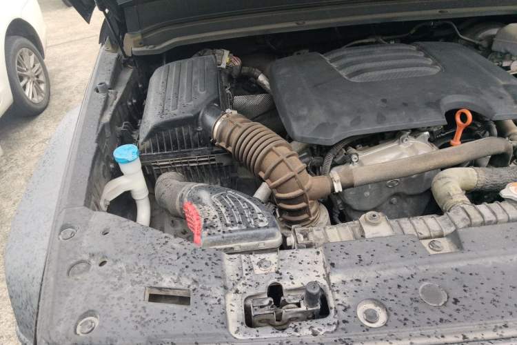 Used Tank 300 2021 Off-Road Edition 2.0T Conqueror Engine Bay Right