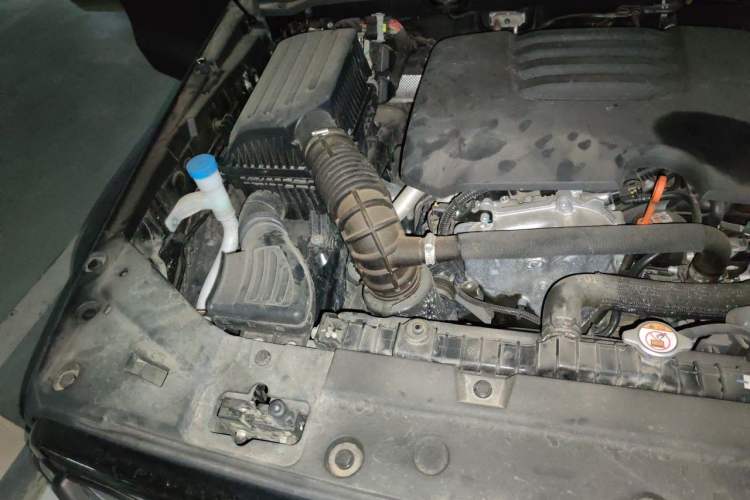Used Tank 300 2021 Off-Road Edition 2.0T Conqueror Engine Bay Right