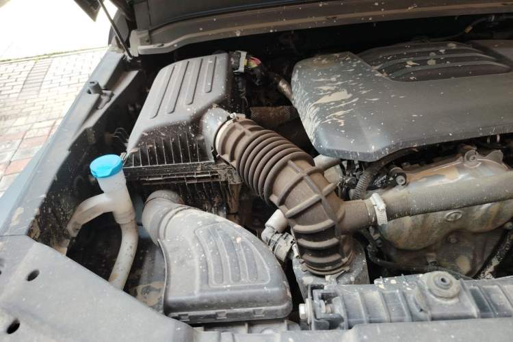 Used Tank 300 2021 Off-Road Edition 2.0T Conqueror Engine Bay Right