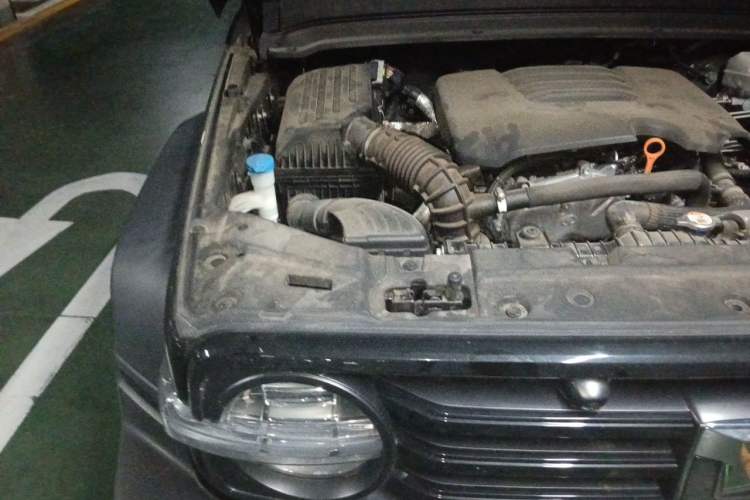 Used Tank 300 2021 Off-Road Edition 2.0T Challenger Engine Bay Right