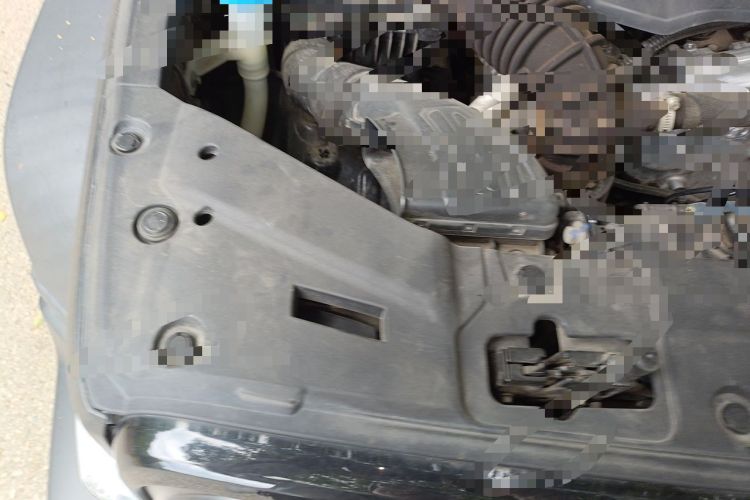 Used Tank 300 2021 Off-Road Edition 2.0T Conqueror Engine Bay Right