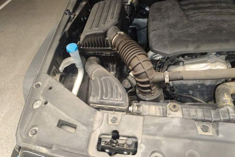 Used Tank 300 2021 Off-Road Edition 2.0T Conqueror Engine Bay Right