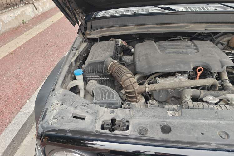 Used Tank 300 2021 Off-Road Edition 2.0T Conqueror Engine Bay Right