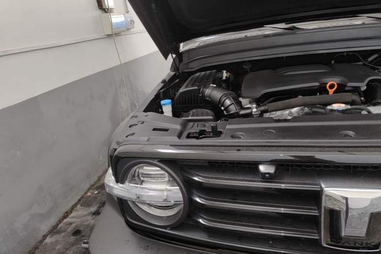 Used Tank 300 2021 Off-Road Edition 2.0T Conqueror Engine Bay Right