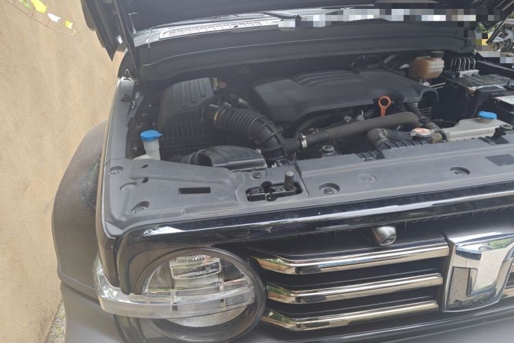 Used Tank 300 2021 City Edition 2.0T My Vision Model Engine Bay Right