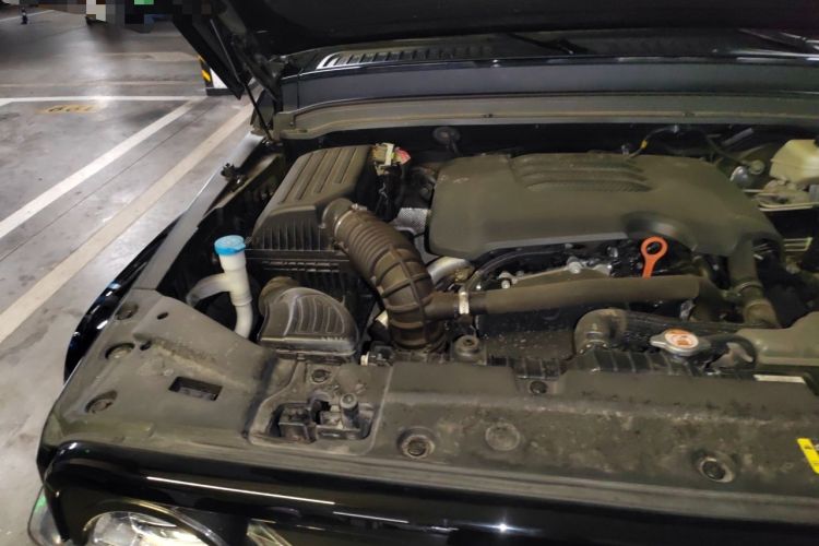 Used Tank 300 2021 City Edition 2.0T Essential Model Engine Bay Right