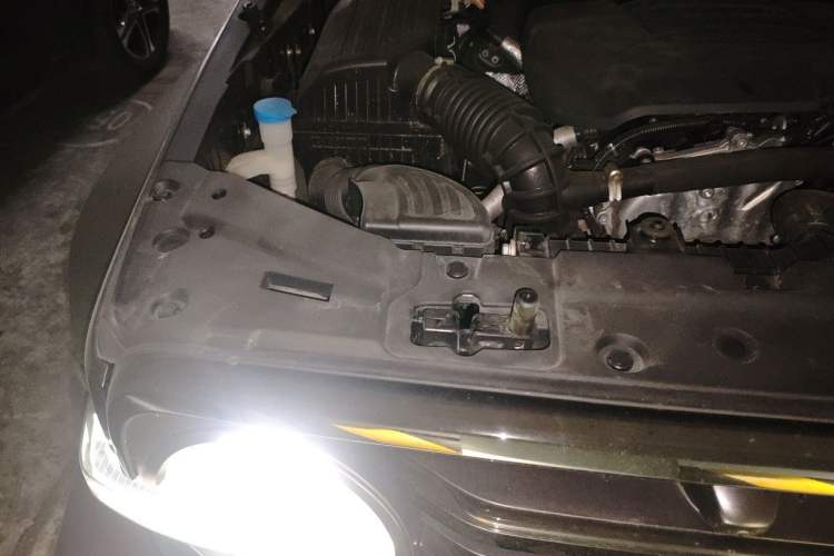 Used Tank 300 2021 Off-Road Edition 2.0T Conqueror Engine Bay Right