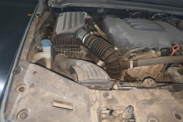 Used Tank 300 2021 Off-Road Edition 2.0T Conqueror Engine Bay Right