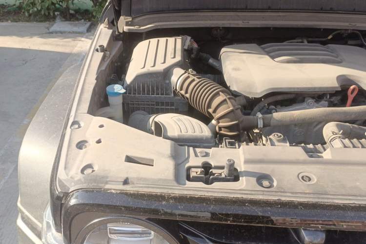 Used Tank 300 2021 Off-Road Edition 2.0T Conqueror Engine Bay Right