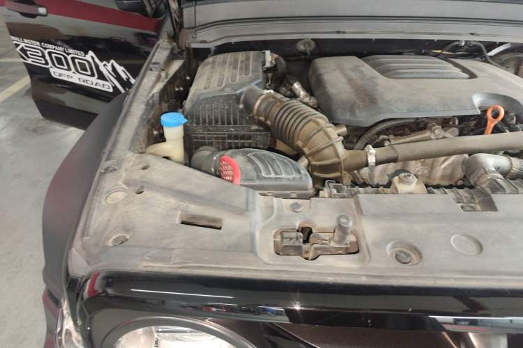 Used Tank 300 2021 Off-Road Edition 2.0T Conqueror Engine Bay Right
