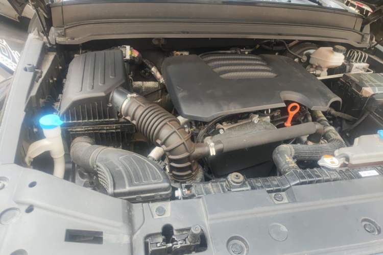 Used Tank 300 2021 City Edition 2.0T Essential Model Engine Bay Right
