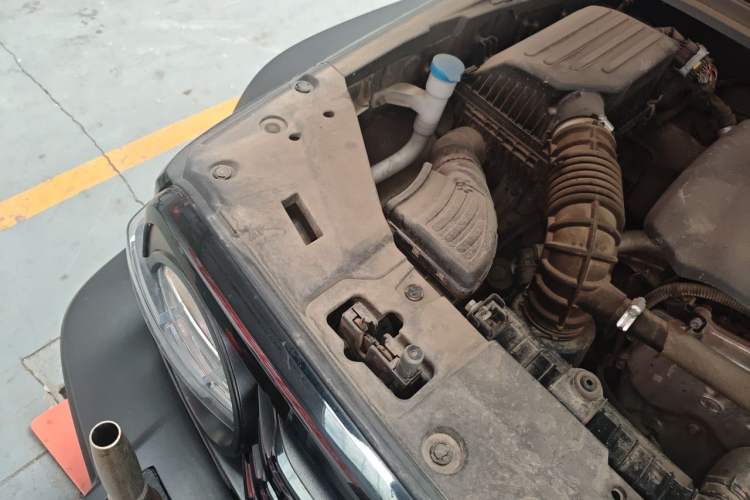 Used Tank 300 2021 Off-Road Edition 2.0T Conqueror Engine Bay Right