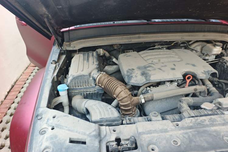 Used Tank 300 2021 City Edition 2.0T—Truly Stylish Engine Bay Right