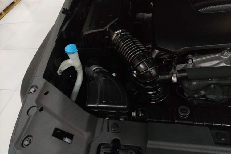 Used Tank 300 2021 Off-Road Edition 2.0T Conqueror Engine Bay Right