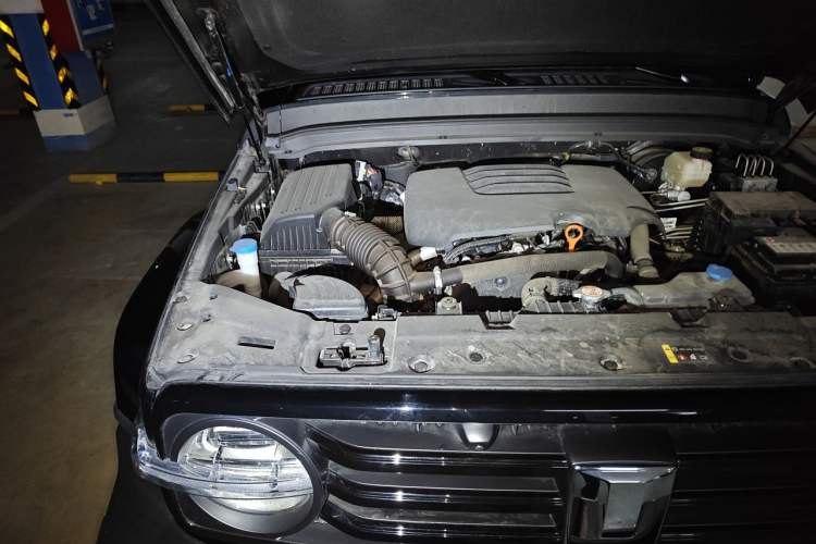 Used Tank 300 2021 City Edition 2.0T—Truly Stylish Engine Bay Right
