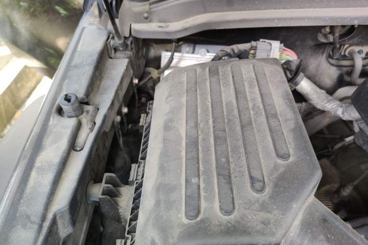 Used Tank 300 2021 Off-Road Edition 2.0T Conqueror Engine Bay Right