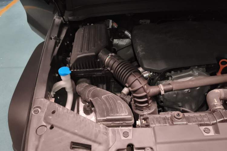 Used Tank 300 2021 Off-Road Edition 2.0T Conqueror Engine Bay Right
