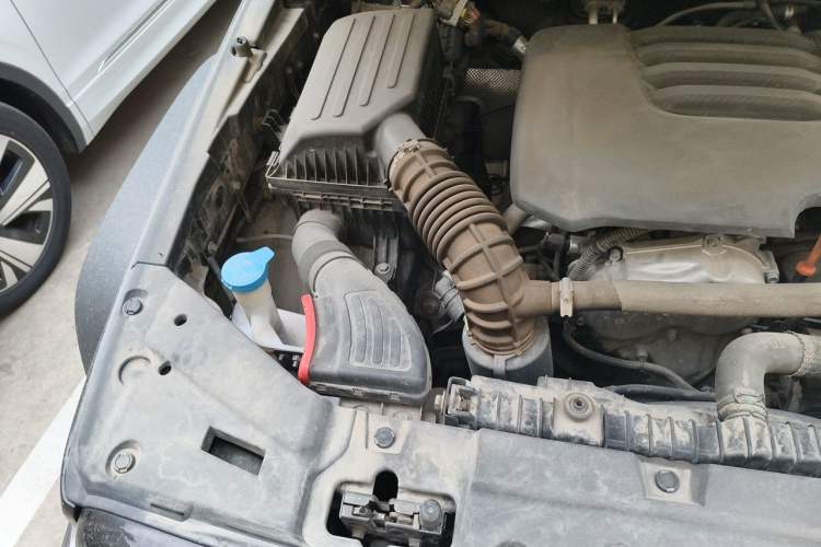 Used Tank 300 2021 Off-Road Edition 2.0T Conqueror Engine Bay Right