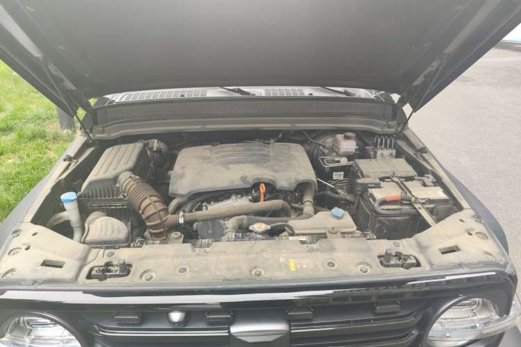 Used Tank 300 2021 Off-Road Edition 2.0T Conqueror Engine Bay