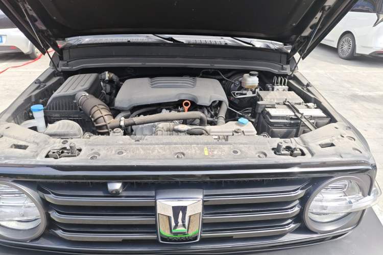 Used Tank 300 2021 Off-Road Edition 2.0T Conqueror Engine Bay