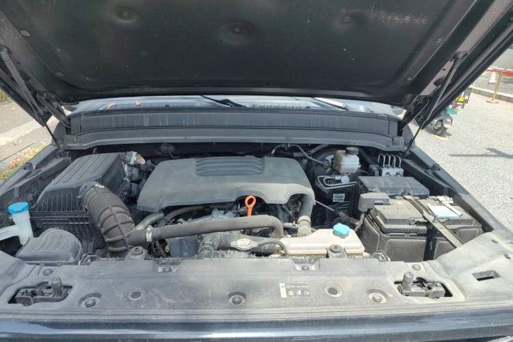 Used Tank 300 2021 Off-Road Edition 2.0T Conqueror Engine Bay