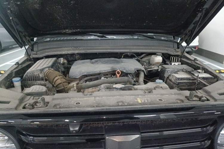 Used Tank 300 2021 Off-Road Edition 2.0T Conqueror Engine Bay