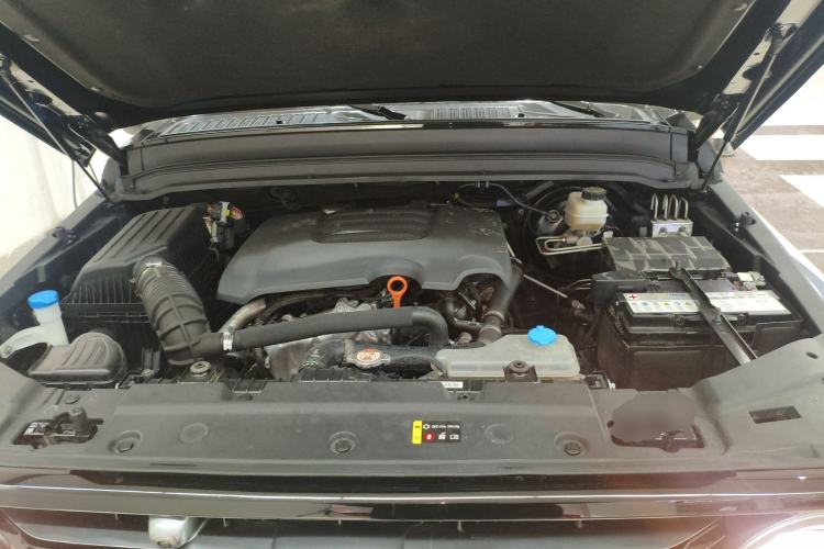 Used Tank 300 2021 Off-Road Edition 2.0T Conqueror Engine Bay