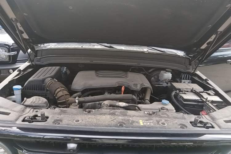 Used Tank 300 2021 Off-Road Edition 2.0T Conqueror Engine Bay