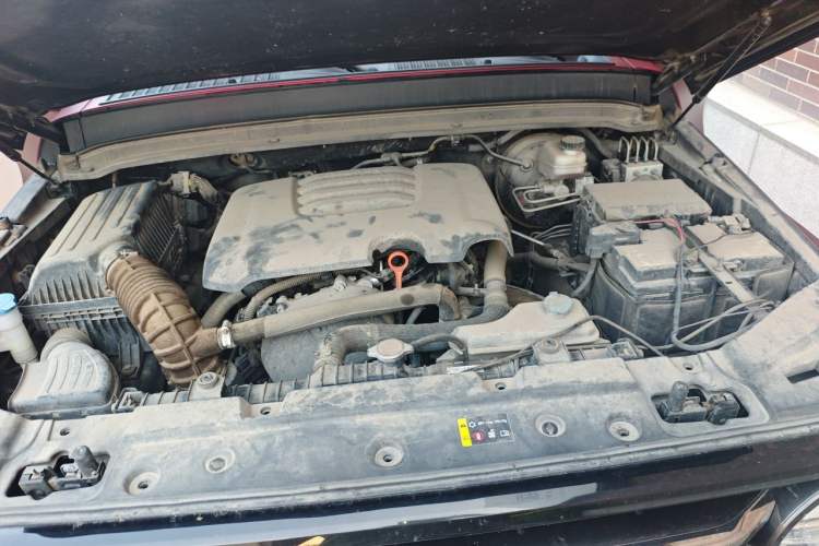 Used Tank 300 2021 City Edition 2.0T—Truly Stylish Engine Bay