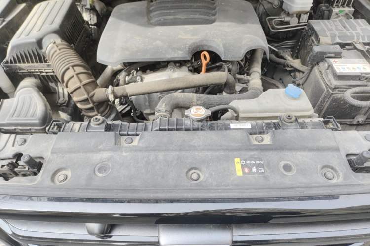 Used Tank 300 2021 Off-Road Edition 2.0T Conqueror Engine Bay