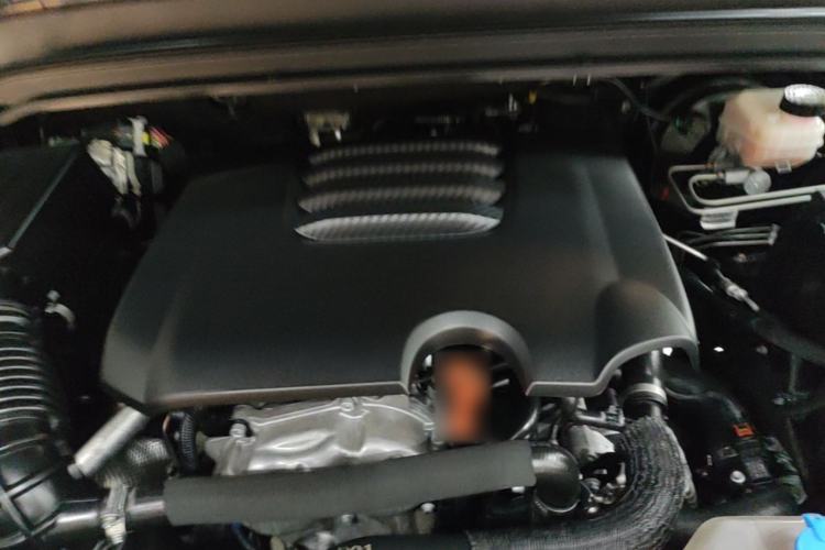Used Tank 300 2021 Off-Road Edition 2.0T Conqueror Engine Bay