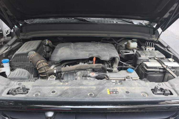 Used Tank 300 2021 Off-Road Edition 2.0T Conqueror Engine Bay