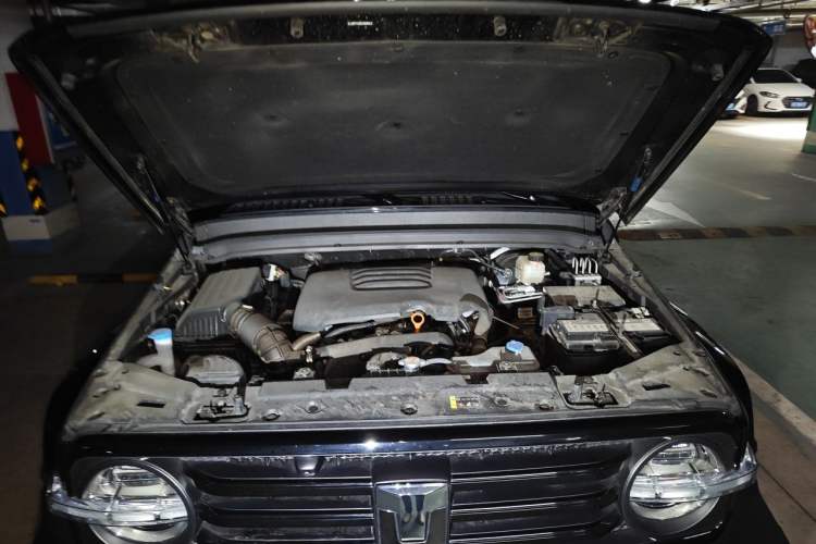 Used Tank 300 2021 City Edition 2.0T—Truly Stylish Engine Bay