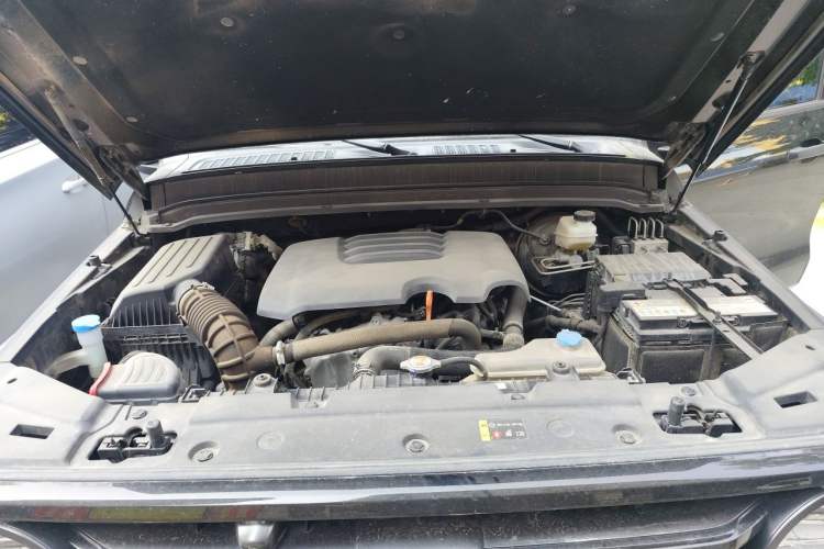 Used Tank 300 2021 Off-Road Edition 2.0T Conqueror Engine Bay