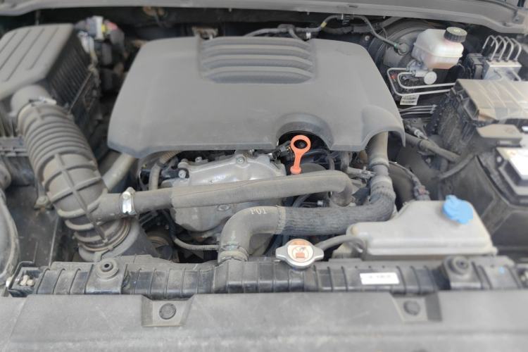 Used Tank 300 2021 Off-Road Edition 2.0T Conqueror Engine Bay