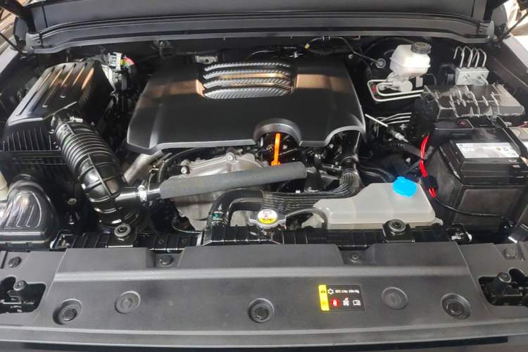 Used Tank 300 2021 Off-Road Edition 2.0T Conqueror Engine Bay