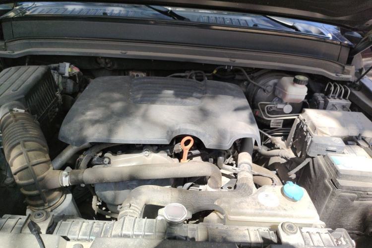 Used Tank 300 2021 Off-Road Edition 2.0T Conqueror Engine Bay