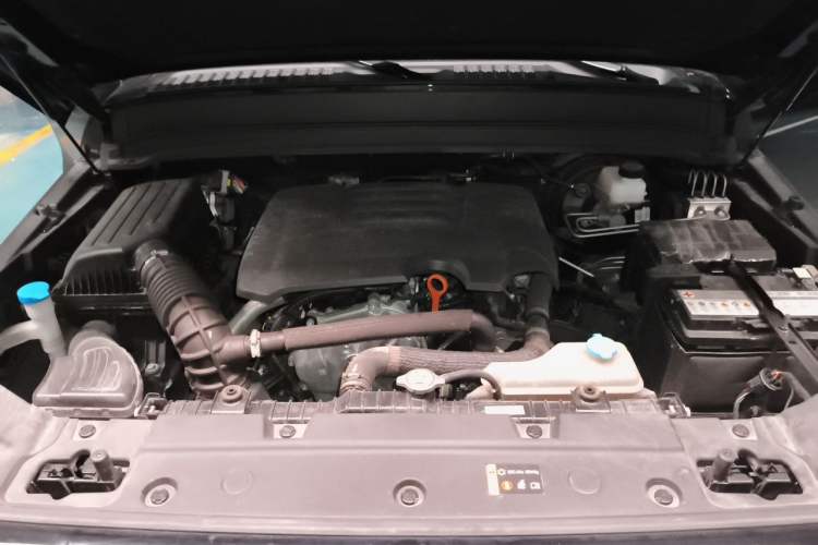 Used Tank 300 2021 Off-Road Edition 2.0T Conqueror Engine Bay