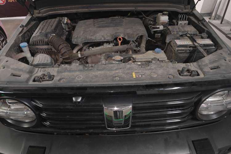 Used Tank 300 2021 Off-Road Edition 2.0T Conqueror Engine Bay