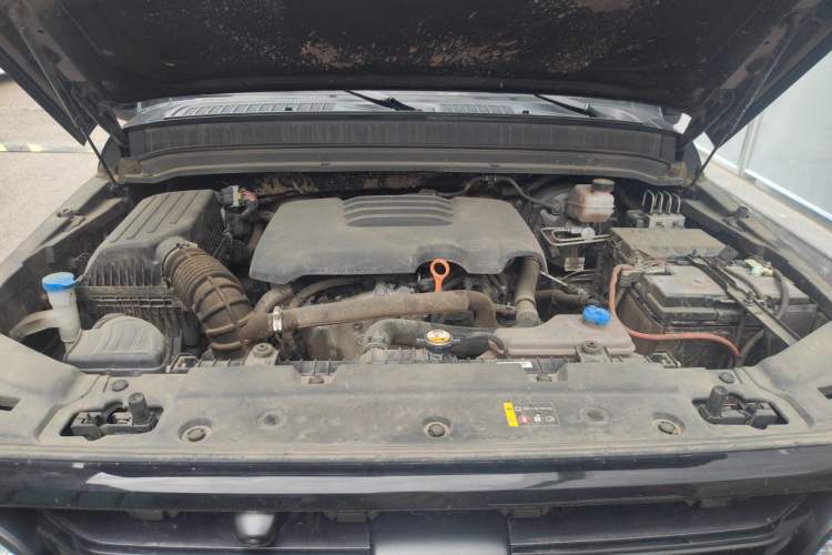 Used Tank 300 2021 Off-Road Edition 2.0T Conqueror Engine Bay