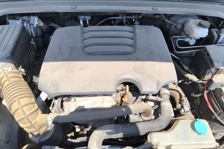 Used Tank 300 2021 Off-Road Edition 2.0T Conqueror Engine Bay